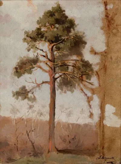 Pines At Polaga