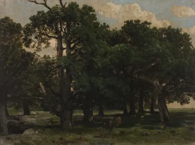 Pines