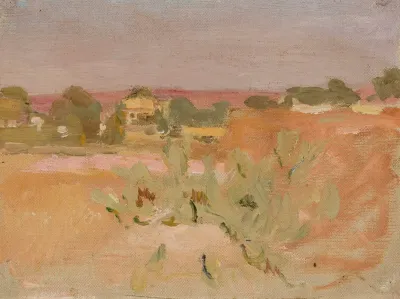 Pink Landscape With Cactuses From The Journey To India