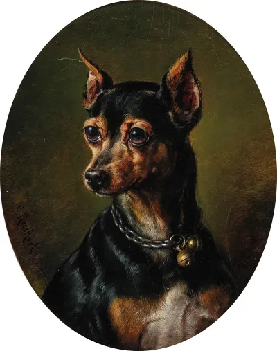 Pinscher In Collar With Bells