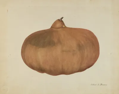 Pioneer Salt Gourd