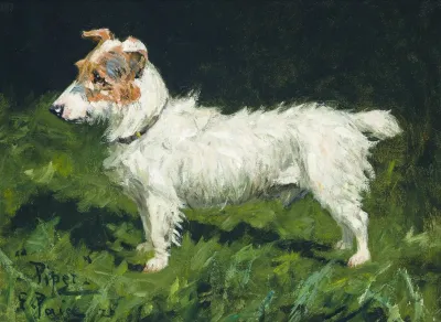 Piper A Jack Russell Terrier