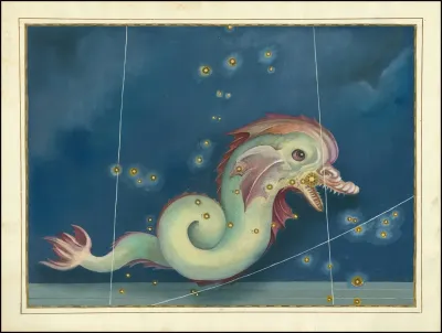 Piscis Austrinus
