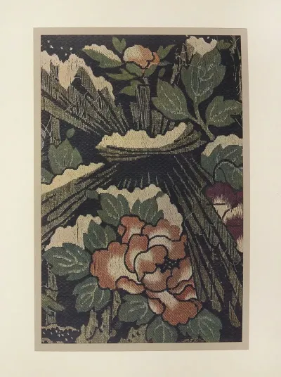 Pivoines 5