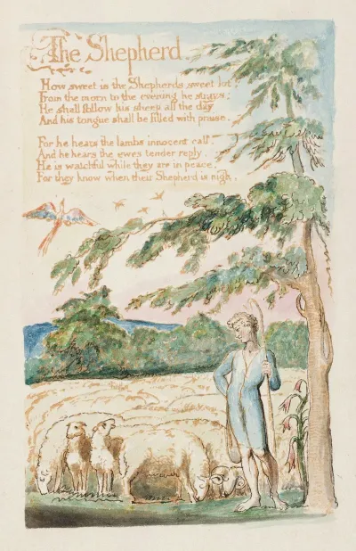 Pl 21 The Shephard