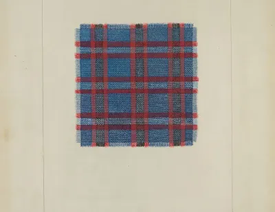 Plaid Homespun 2