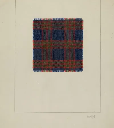 Plaid Homespun Cloth 2