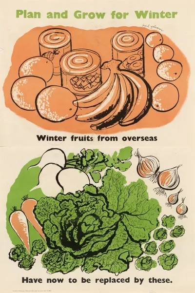 Plan And Grow For Winter Winter Fruits From Overseas Have Now To Be Replaced By These