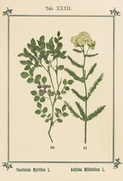 Plant Atlas To My Water Cure Pl 12