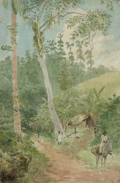 Plantain Walk Bookkeeper Watchman And Hut Man With Casks Of Water