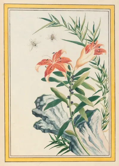 Plantes De Chine Pl 033