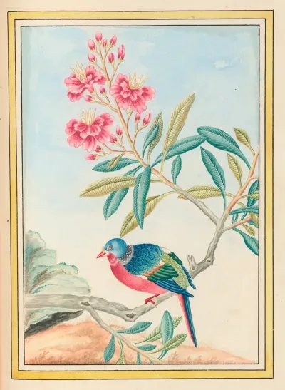 Plantes De Chine Pl 072