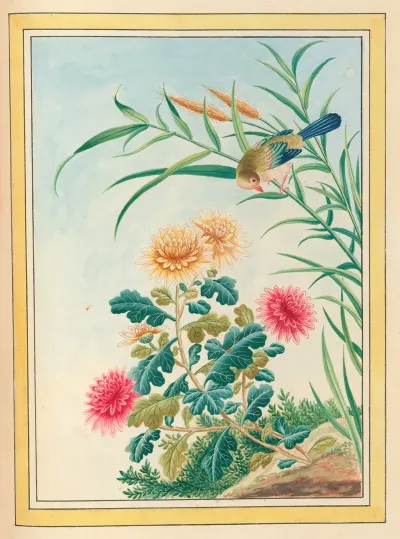 Plantes De Chine Pl 075