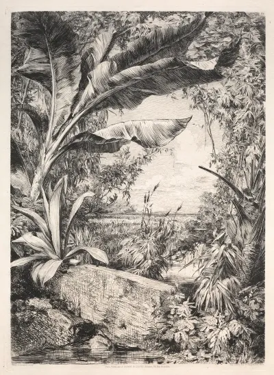 Plants Of The Greenhouse