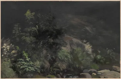 Plants On Rocks