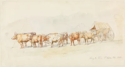 Planwagen Mit Tiergespann