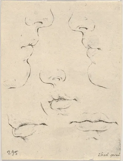 Plate 4 Two Profiles And Three Mouths