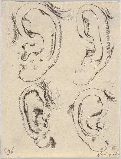 Plate 5 Four Ears