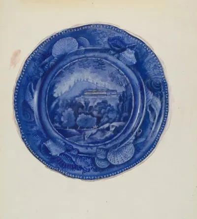 Plate 7