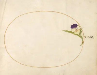 Plate 80 Purple And Yellow Viola