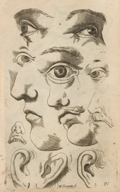 Plate Iv Artist Study Of Facial Features