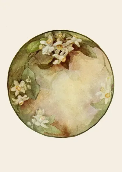 Plate Orange Blossoms