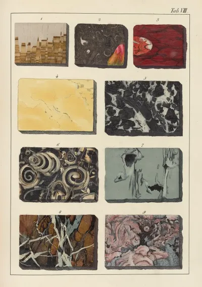 Plate Viii Marbles