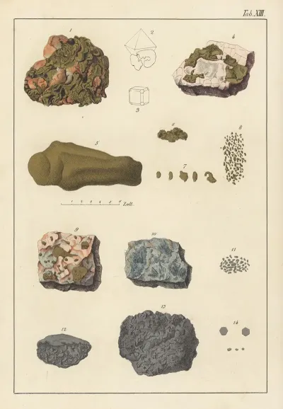Plate Xiii Gold Platinum Iridium