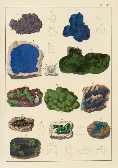 Plate Xvi Copper Malachite