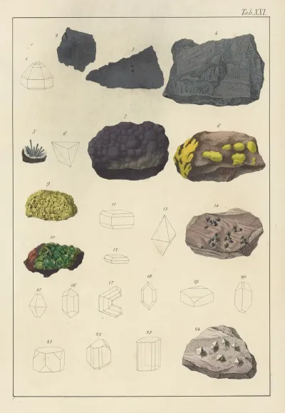 Plate Xxi Bismuth Ores Uranium Ores Titanium Ores Tantalum Ores Wolfram Ores
