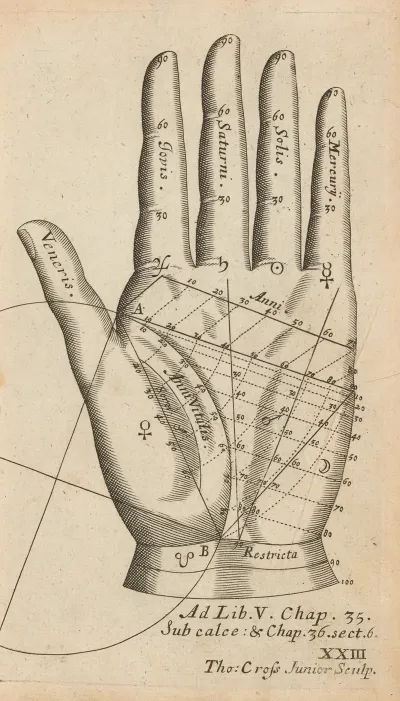 Plate Xxiii Palmistry Chart Of Left Hand