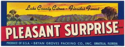 Pleasant Sunrise Brand Citrus Label