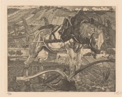 Ploegend Paard Op Een Heuvel