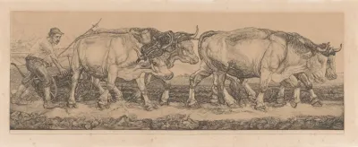 Ploegende Ossen 3