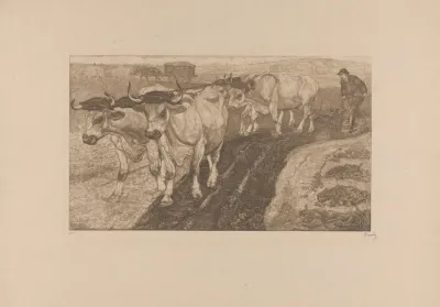 Ploegende Ossen 4