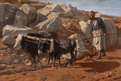 Plough Ox And Mule With Fellah
