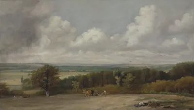 Ploughing Scene In Suffolk
