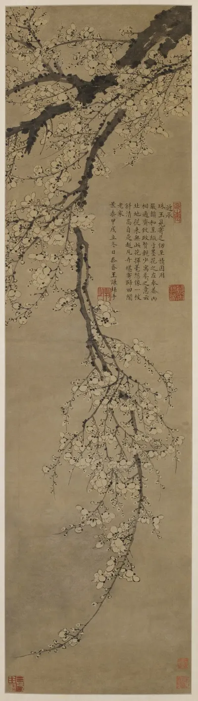 Plum Blossom