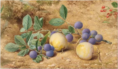 Plums 2