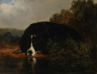 Pluton Chien Favori Du Maitre