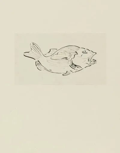 Poisson Dessin Non Utilise