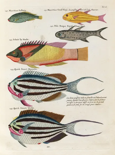 Poissons Ecrevisses Et Crabes De Diverses Couleurs Et Figures Extraordinaires Pl 026