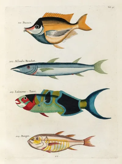 Poissons Ecrevisses Et Crabes De Diverses Couleurs Et Figures Extraordinaires Pl 040