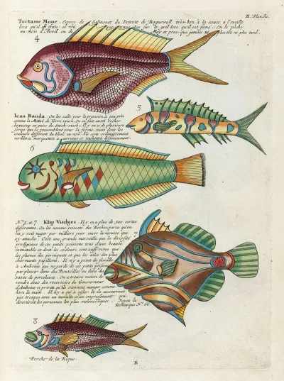 Poissons Ecrevisses Et Crabes De Diverses Couleurs Et Figures Extraordinaires Pl 045