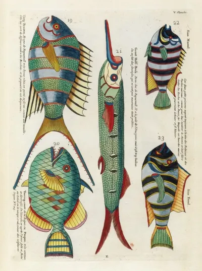 Poissons Ecrevisses Et Crabes De Diverses Couleurs Et Figures Extraordinaires Pl 048