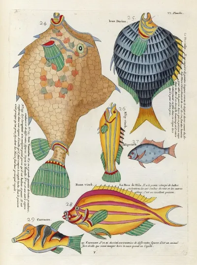 Poissons Ecrevisses Et Crabes De Diverses Couleurs Et Figures Extraordinaires Pl 049