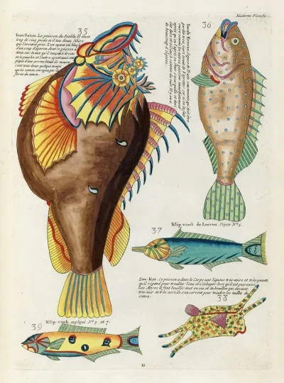 Poissons Ecrevisses Et Crabes De Diverses Couleurs Et Figures Extraordinaires Pl 051