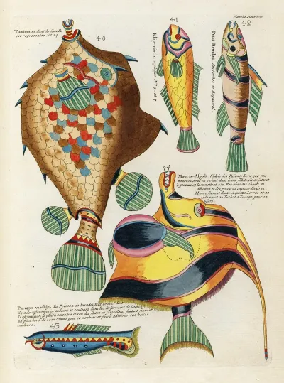 Poissons Ecrevisses Et Crabes De Diverses Couleurs Et Figures Extraordinaires Pl 052