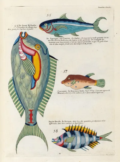 Poissons Ecrevisses Et Crabes De Diverses Couleurs Et Figures Extraordinaires Pl 055