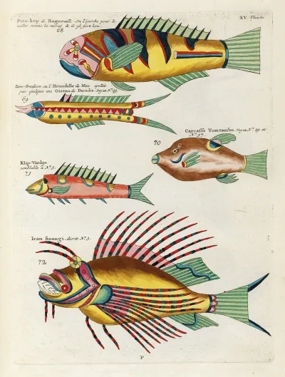 Poissons Ecrevisses Et Crabes De Diverses Couleurs Et Figures Extraordinaires Pl 058